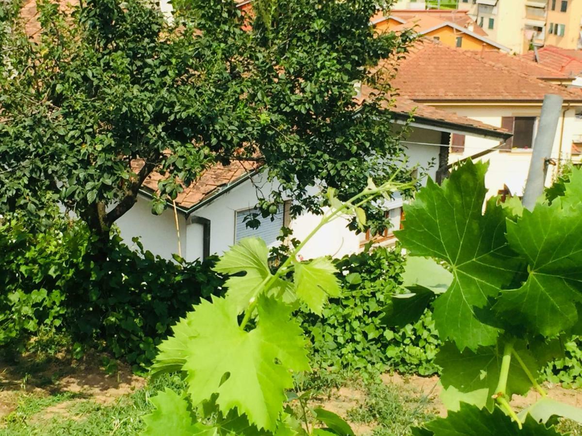 La Collina Di Albiro Affittacamere Arcola Extérieur photo